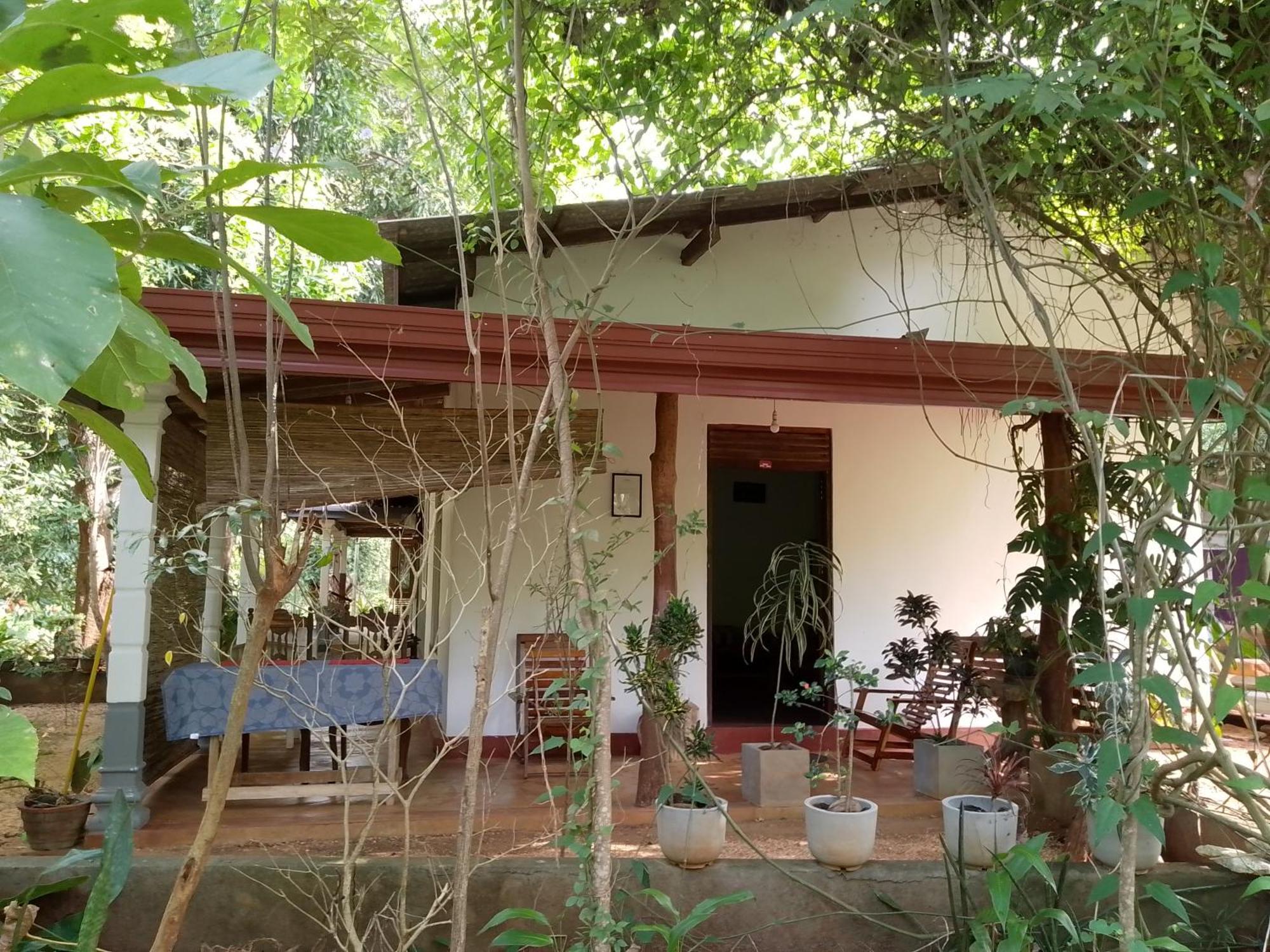 Thilina Homestay Сигирия Номер фото